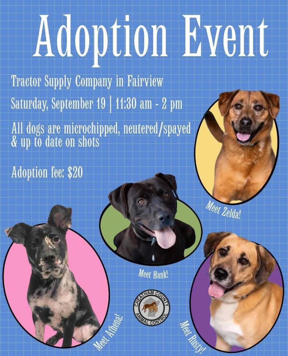 Flyer for the adoption event showing photos of four dogs up for adoption: Zelda, Hank, Athena and Rusty.