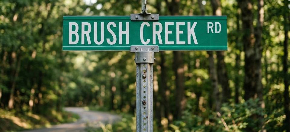 Brush Creek Road sign near a wooded roadway in Fairview
