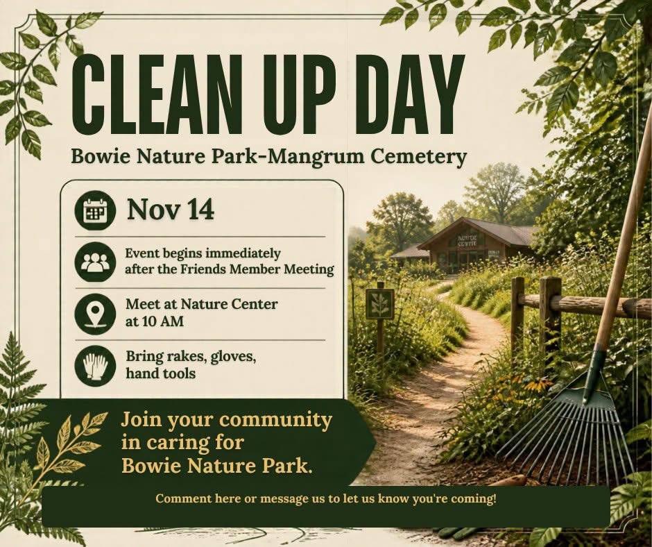 Flyer for a Clean Up Day at Mangrum Cemetery in Bowie Nature Park, illustrated with a dirt path leading to a nature center building and a rake leaning on a wooden fence.